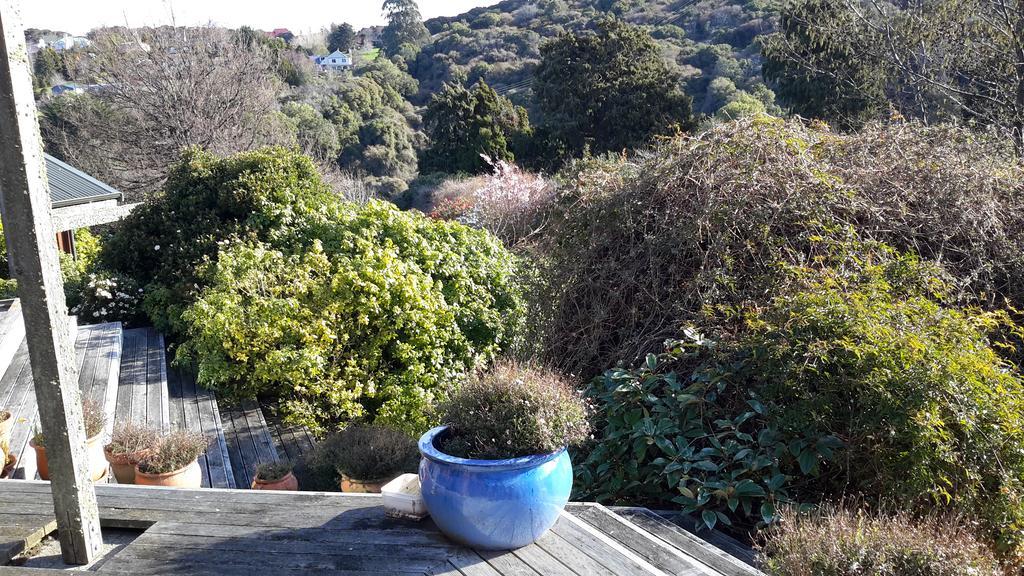 Leithview B And B Dunedin Exterior foto